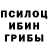 Галлюциногенные грибы Magic Shrooms Irena Ashkenazi