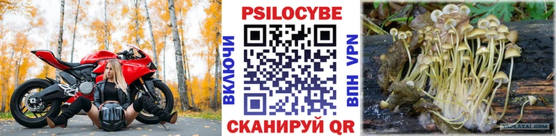 Купить  Байкальск  Галлюциногенные грибы MAGIC MUSHROOMS 